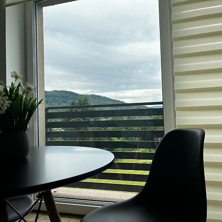Beskid Rest Apartments Żywiec Zewnętrze zdjęcie