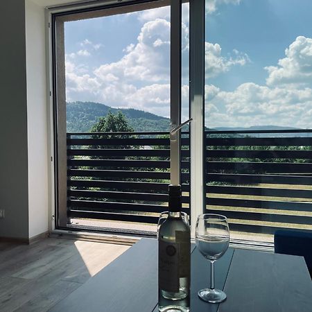 Beskid Rest Apartments Żywiec Zewnętrze zdjęcie