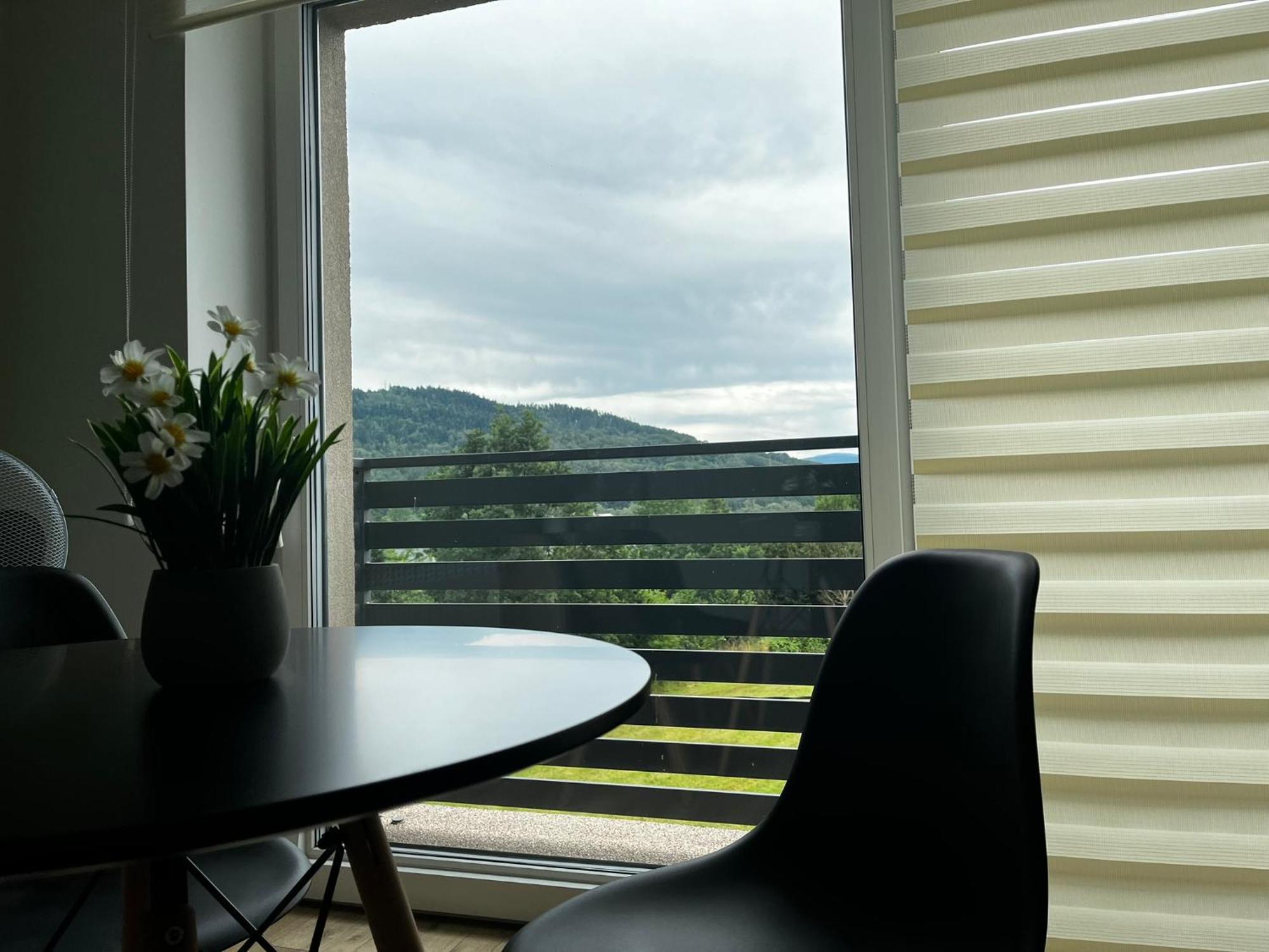 Beskid Rest Apartments Żywiec Zewnętrze zdjęcie