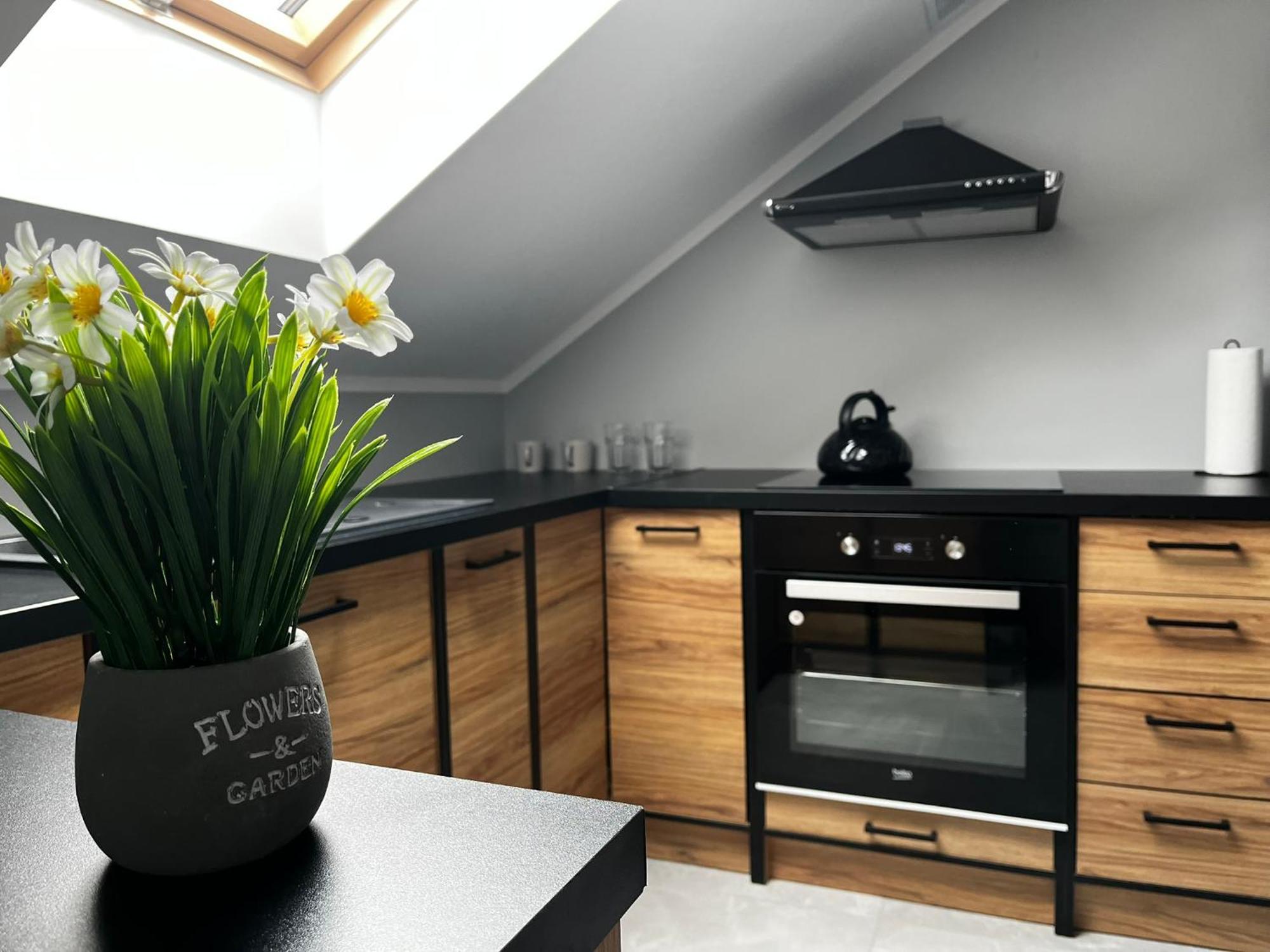 Beskid Rest Apartments Żywiec Zewnętrze zdjęcie