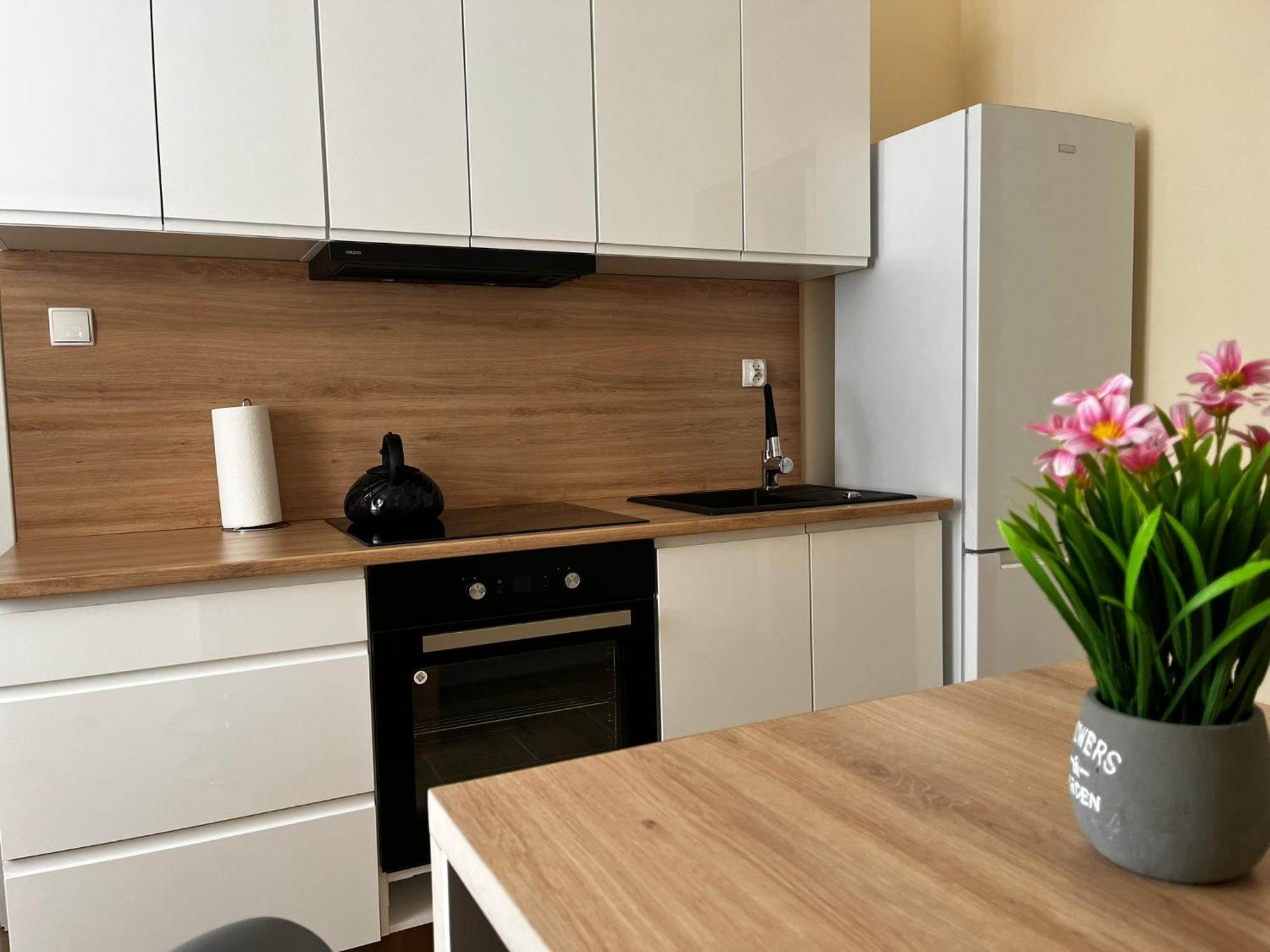 Beskid Rest Apartments Żywiec Zewnętrze zdjęcie