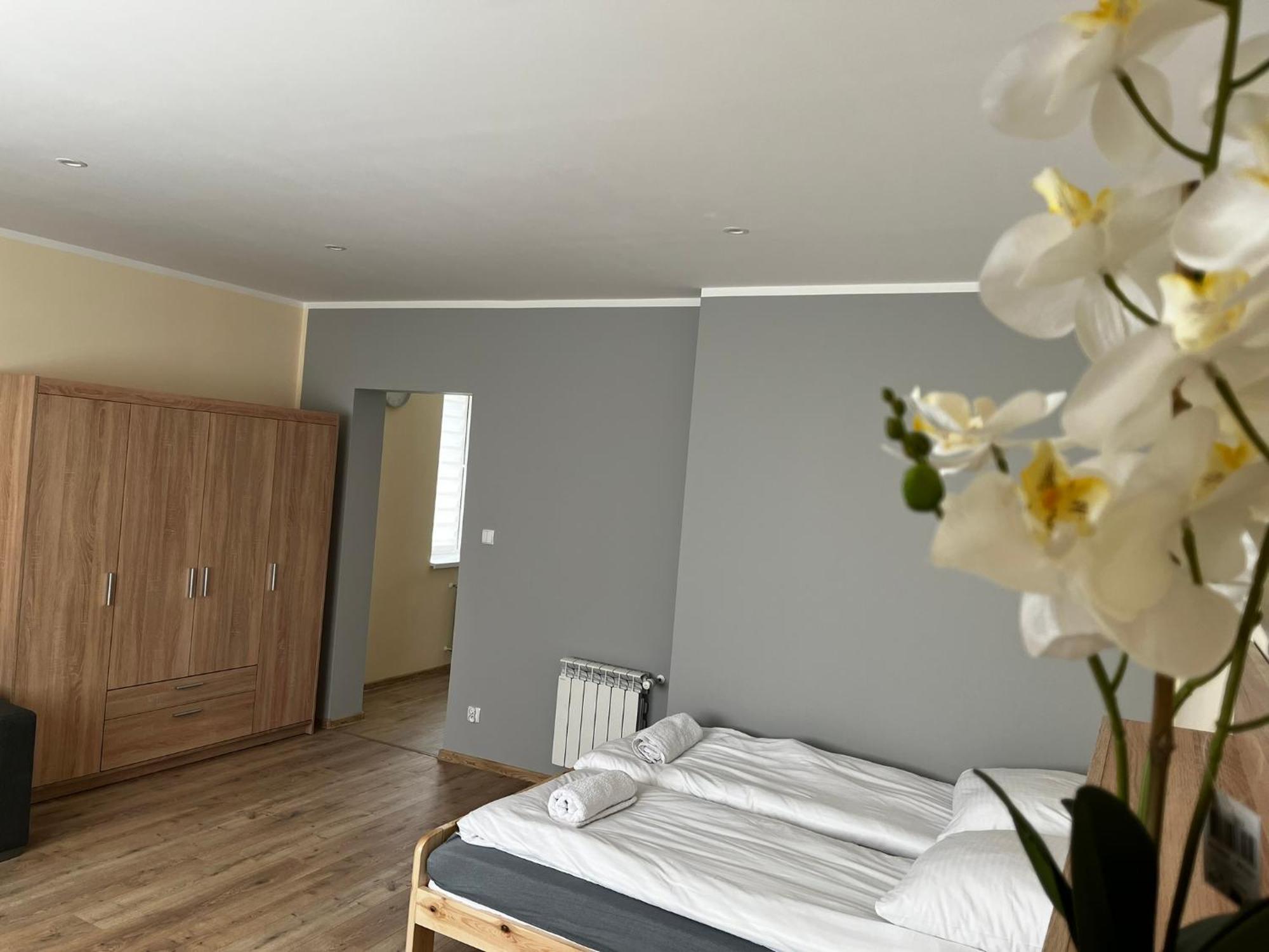 Beskid Rest Apartments Żywiec Zewnętrze zdjęcie