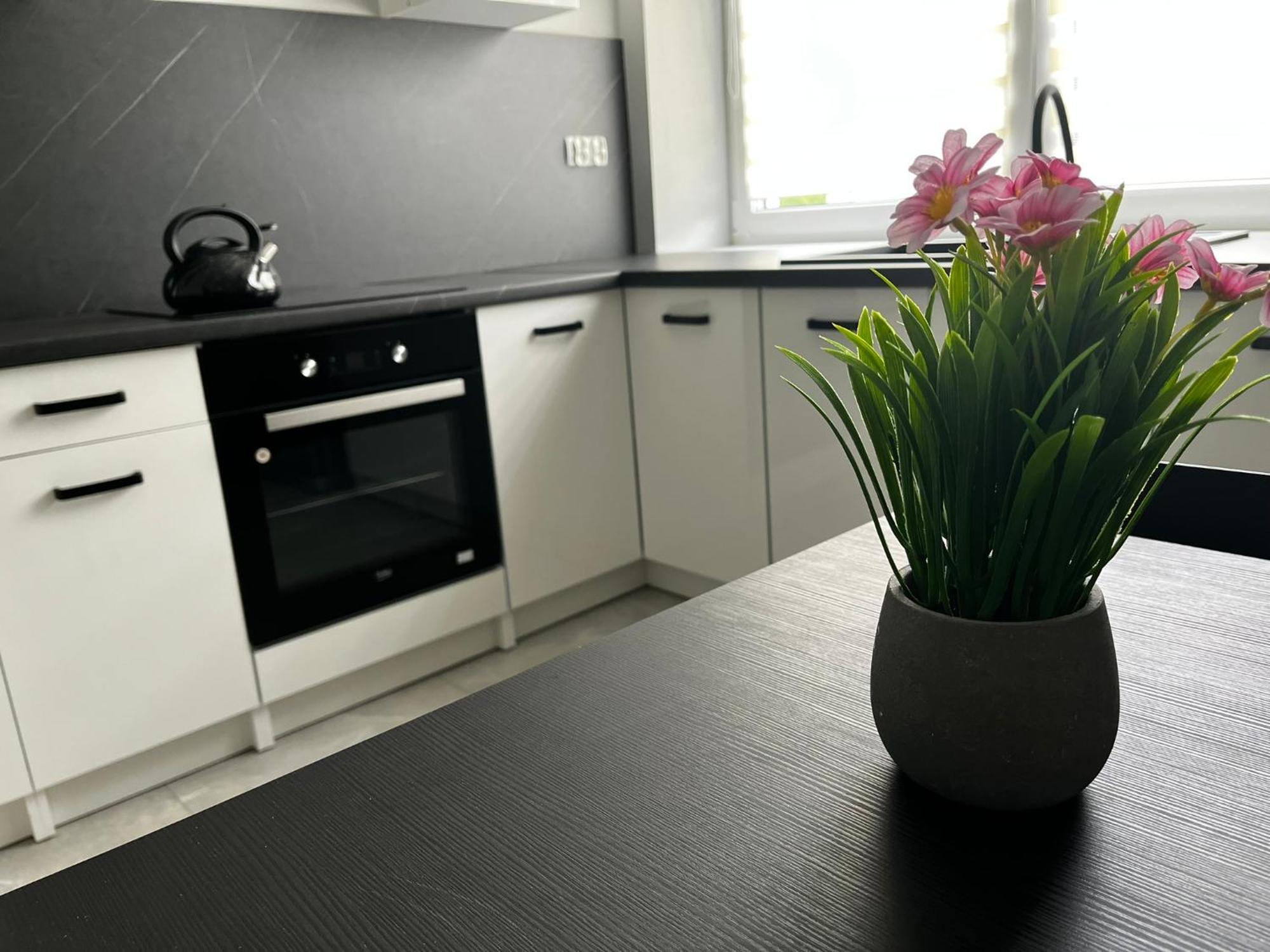 Beskid Rest Apartments Żywiec Zewnętrze zdjęcie