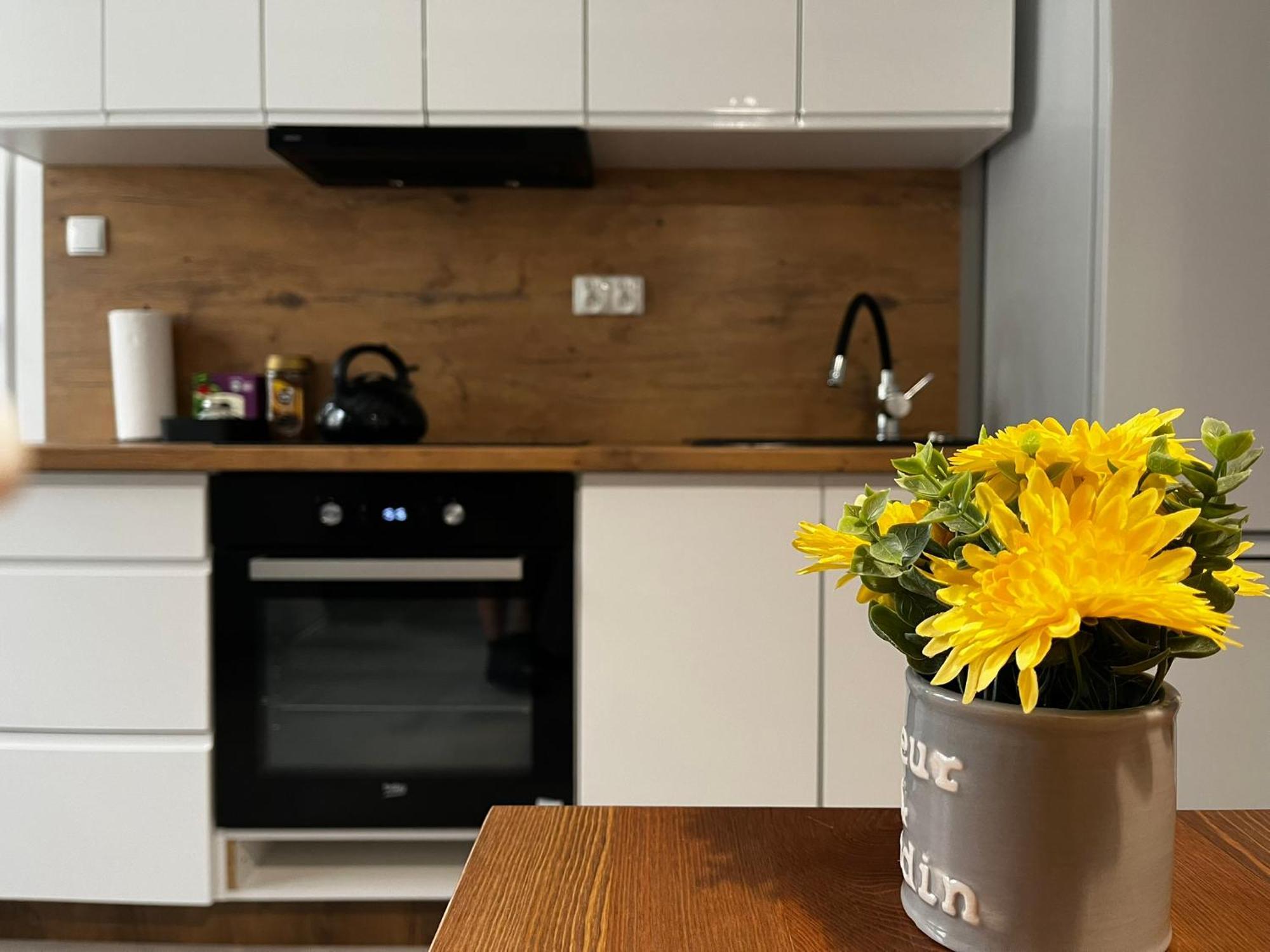 Beskid Rest Apartments Żywiec Zewnętrze zdjęcie