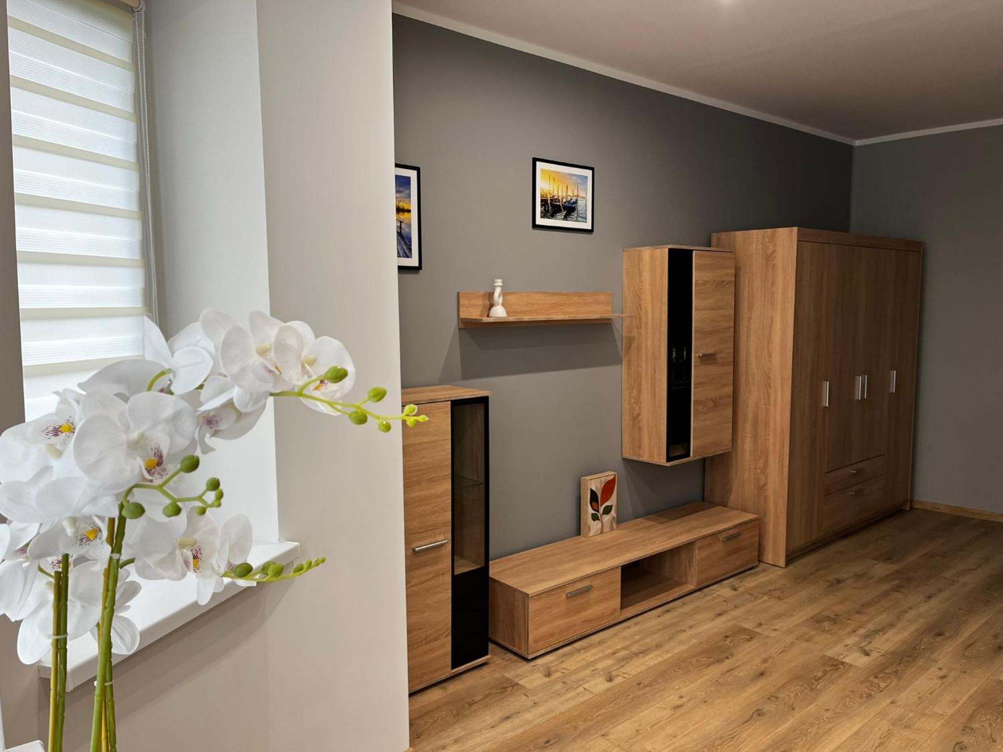 Beskid Rest Apartments Żywiec Zewnętrze zdjęcie