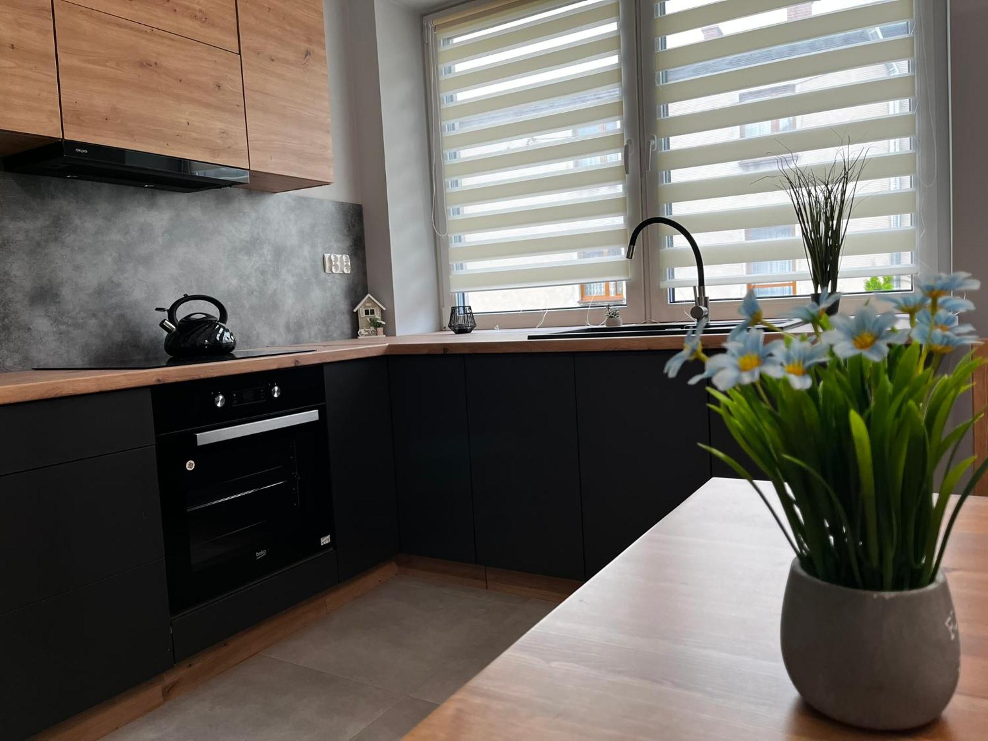 Beskid Rest Apartments Żywiec Zewnętrze zdjęcie